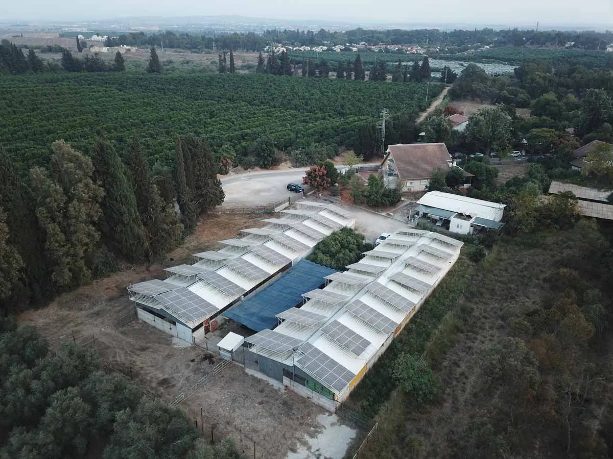 פרויקט של הבית הירוק